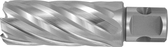 ������ ���������� 22 �� �� ������� HSS 22�30 Weldon 19 ����� ���������